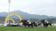 六位香港騎師策騎駿馬在草地跑道上馳騁，衝過勝利拱門。
